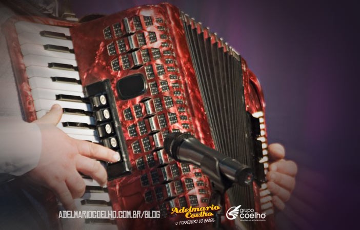 adelmario-coelho_5-dicas-organizar-eventos-musicais-sua-cidade-702×449